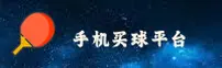 【官方】手机买世界杯_正版门户